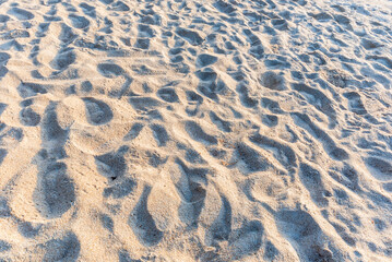 Fototapeta na wymiar Sea sand floor.sand on the beach as background..Background image