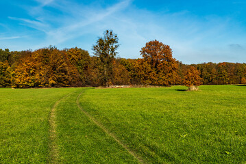 Autumn meadow with colorful trees around and blue sky