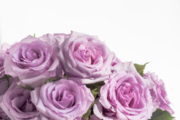 a bouquet of delicate purple roses in bright light with a copy of the space