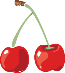 Cherry pair icon. Cartoon berries on green stem
