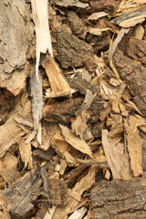 pile of firewood