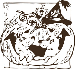 funny dogs climbed into a pumpkin. Happy Halloween!