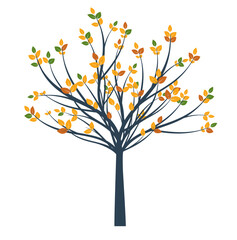 Obraz premium Colour autumn Tree. Vector Illustration.