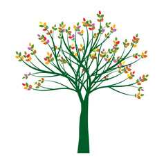 Colour autumn Tree. Vector Illustration.