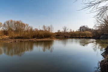Naklejka na ściany i meble Odre river near Polanka nad Odrou in early springtime CHKO Poodri in Czech republic