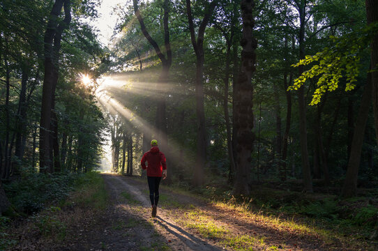 A man running in a lane on a sunny morning in a forest.