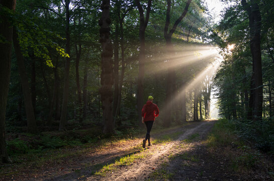 A man running in a lane on a sunny morning in a forest.