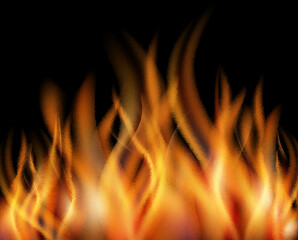 Burning flame. Realistic fire blaze. Glowing heat