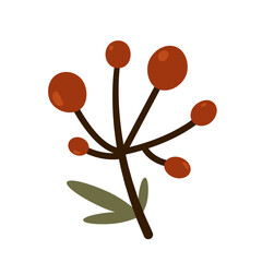 Rowan branch with berries and leaves.