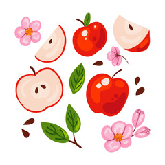 Red apples set elements. Vector illustration clipart.