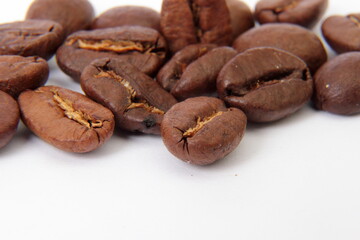 coffee bean isolated