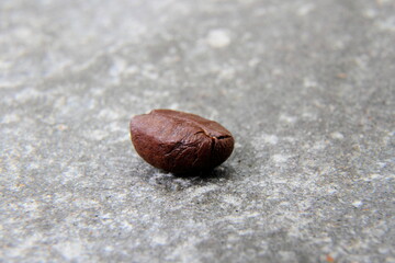 coffee bean isolated