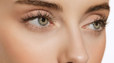 Naklejka premium Blue eyes and perfect shapes of eyebrows. Close up portrait of beautiful young girl looking at camera. Concept of cosmetics, makeup, eco treatment, skin care.