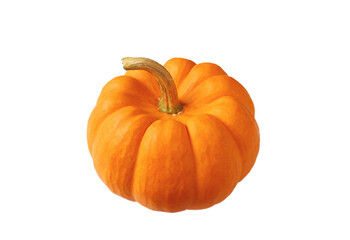 Vivid Orange Ripe Pumpkin Isolated on Transparent Background, PNG File