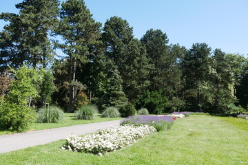 Blumen im Rombergpark in Dortmund