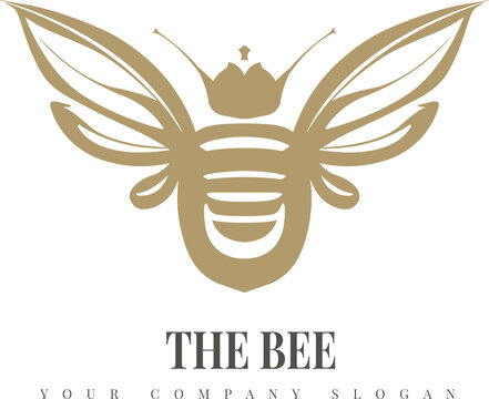 Bee logo design vector, bug bee design.