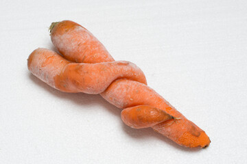 Deformed carrot on white background. Crooked and funny ugly vegetable with strange shape.
