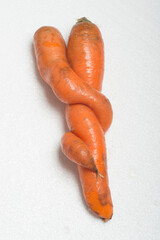 Deformed carrot on white background. Crooked and funny ugly vegetable with strange shape.
