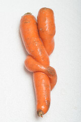 Deformed carrot on white background. Crooked and funny ugly vegetable with strange shape.
