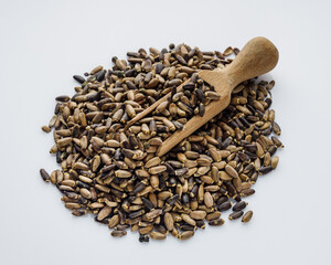 milk thistle seeds on a white acrylic background