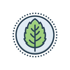 Color illustration icon for mint
