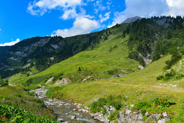Fototapeta na wymiar Zürsbach in Zür am Arlberg / Lechquellengebirge. Vorarlberg (Österreich)