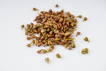 grape seed essential oil on a white background