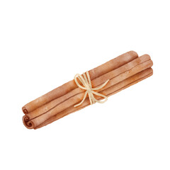 Three rolled sticks of cinnamon. Aromatic spice. Condiment for dishes. Detailed cartoon watercolor illustration isolated on white background.