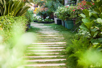 Obraz premium Nature Photography, Plant, Flower and rose. Photo is selective focus with shallow depth of field. Photo taken at Cairo Egypt