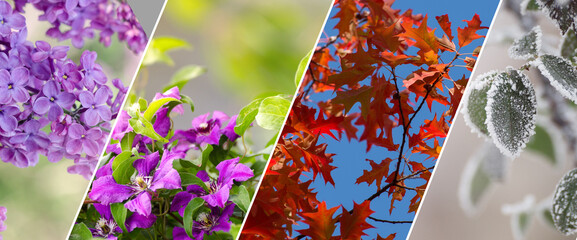 Four Seasons Banners Set. Collection of Spring Summer autumn and Winter backgrounds