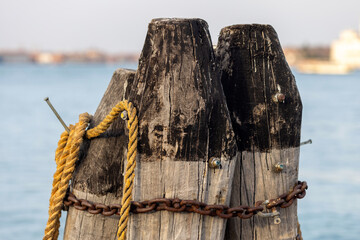 Obraz premium Wooden pillars with old rope and chain in sea at Venice dock. Large wooden logs, breakwaters in Venezia, Italy