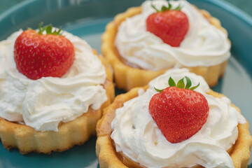 A beautiful dessert of sponge cake and cream with strawberries