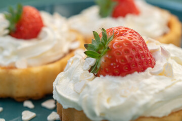 A beautiful dessert of sponge cake and cream with strawberries