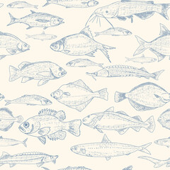 Fish vector seafood background, vintage sketch of fish seamless pattern.