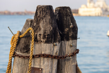 Fototapeta premium Wooden pillars with old rope and chain in sea at Venice dock. Large wooden logs, breakwaters in Venezia, Italy