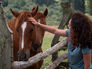 Brunette woman stroking an anglo- arab horse behind a wooden fence in a field.