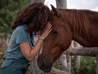 Close up of brunette woman forming bond with an anglo- arab horse behind a wood fence in a field. - obrazy, fototapety, plakaty