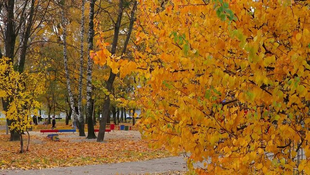 Mom and son are playing on playground among fall leaves and large autumn trees. Woman with a child on walk in city autumn park.