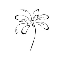 ornament 2455. one stylized blooming flower on a short stalk without leaves. graphic decor