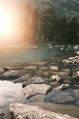 Vertical landscape photo. In the foreground there are many stones in clear water, and in the background there is warm sunbeam hides in the crowns of mighty firs