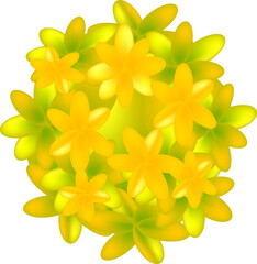 shrub. Top view of bushes for architectural and landscape design. Set of vector plants and trees in different colors. Graphics isolated on white. Ornamental shrubs. Elements for design projects. Green