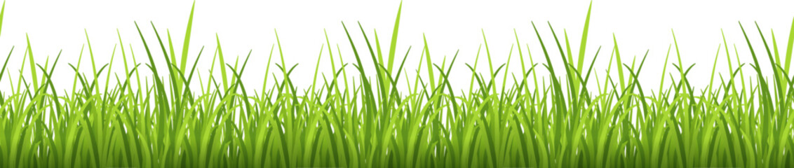 Fototapeta na wymiar Natural grass horizontal border. Summer green decoration