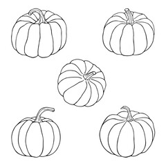 Pumpkins line art hand drawn illustrations of various shapes Thanksgiving and Halloween elements