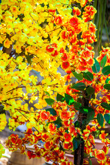 Nature Photography, Plant, Flower and rose. Photo is selective focus with shallow depth of field. Photo taken at Cairo Egypt