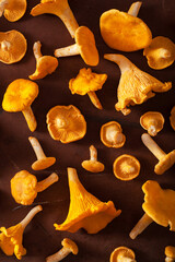 raw fresh chanterelle mushrooms flat lay on dark background