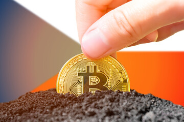 Legalization of bitcoin in the Czechia. Planting bitcoin in the ground against the background of...