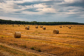 Fototapeta na wymiar Straw bales on the field, beautiful landscape