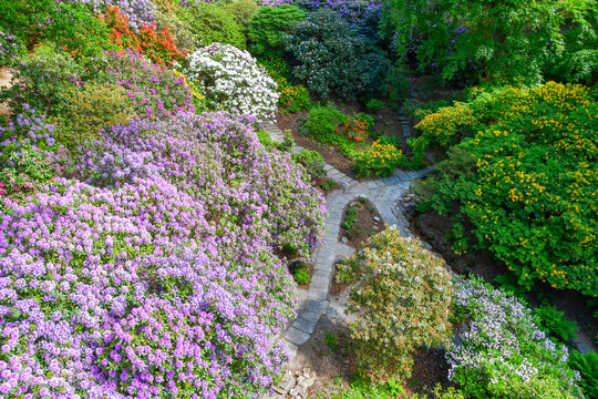 Path among flower bushes an trees in summer