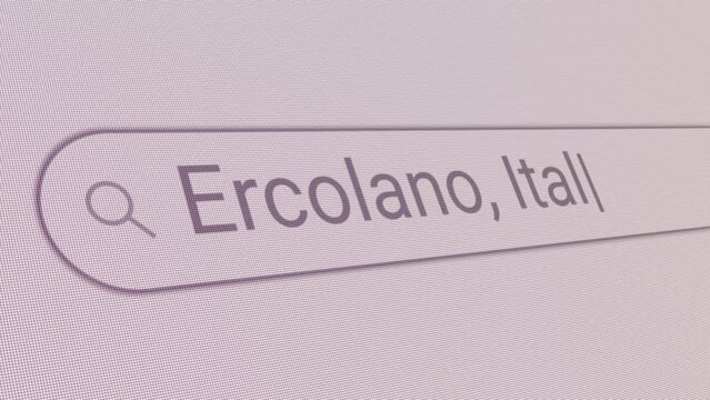 Search Bar Ercolano Italy 
Close Up Single Line Typing Text Box Layout Web Database Browser Engine Concept