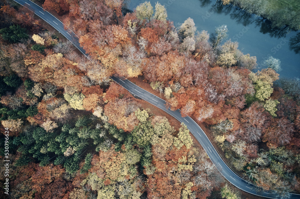 Poster Aerial view of forest road in beautiful autumn. Colorful Trees in yellow, red and green from above. - Posters